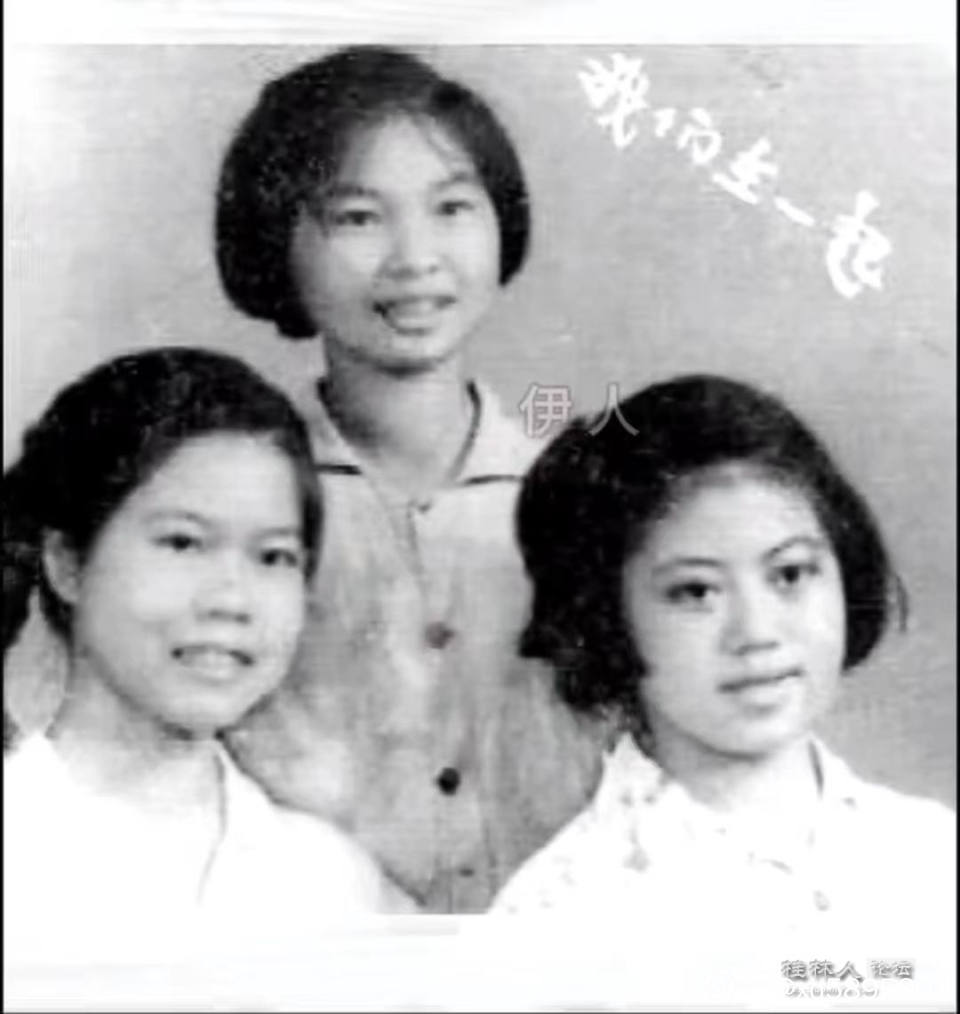 农场闺蜜