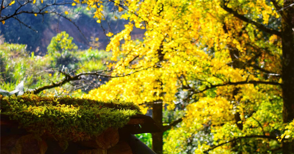 洞大路上的风景