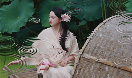 夏日采荷忙，好運蓮蓮……