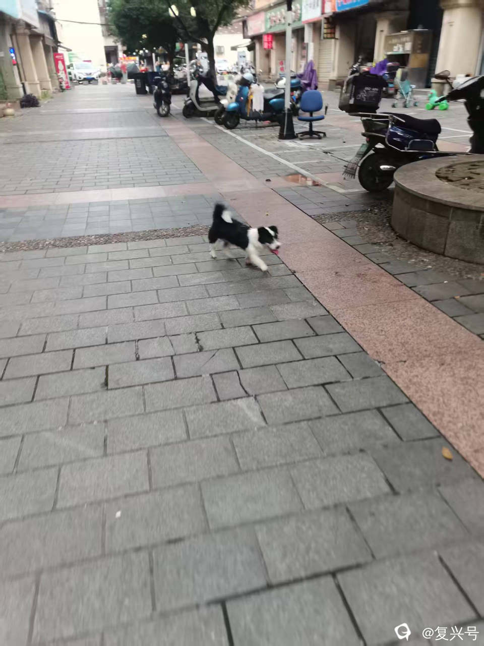 625125637.jpg