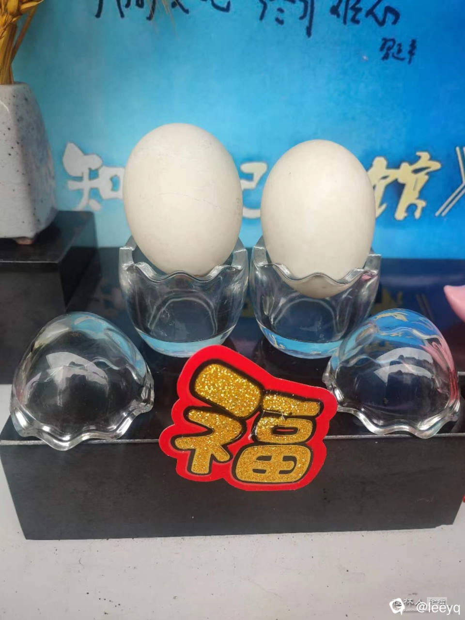 微信图片_20240407160900.jpg