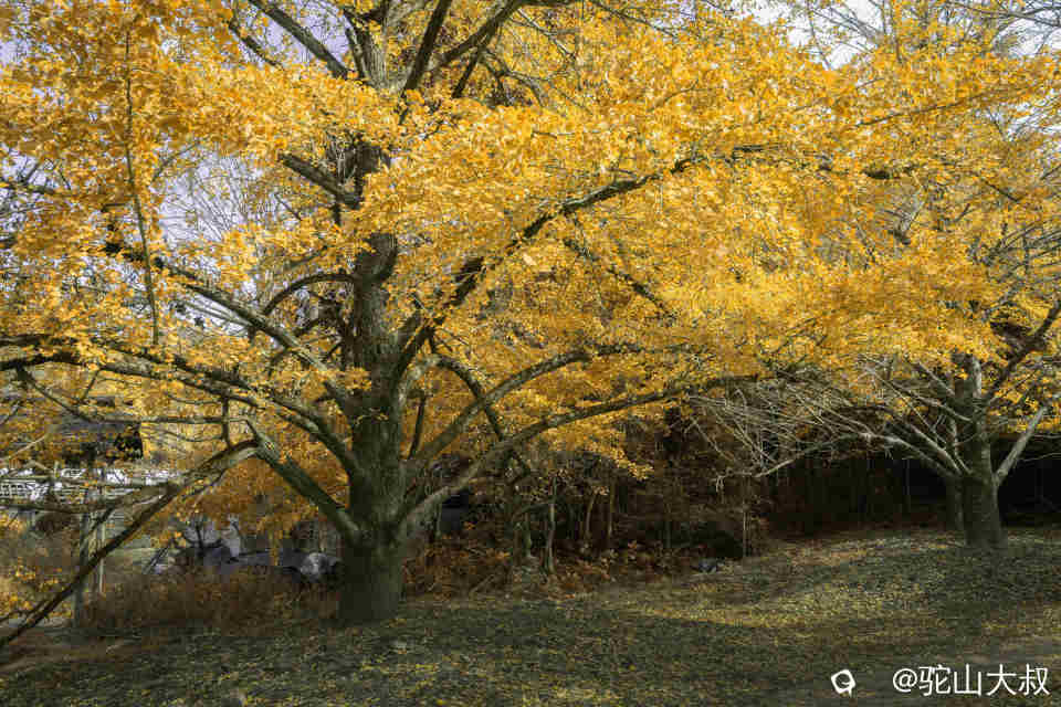 DSC04288-0 - 副本.jpg