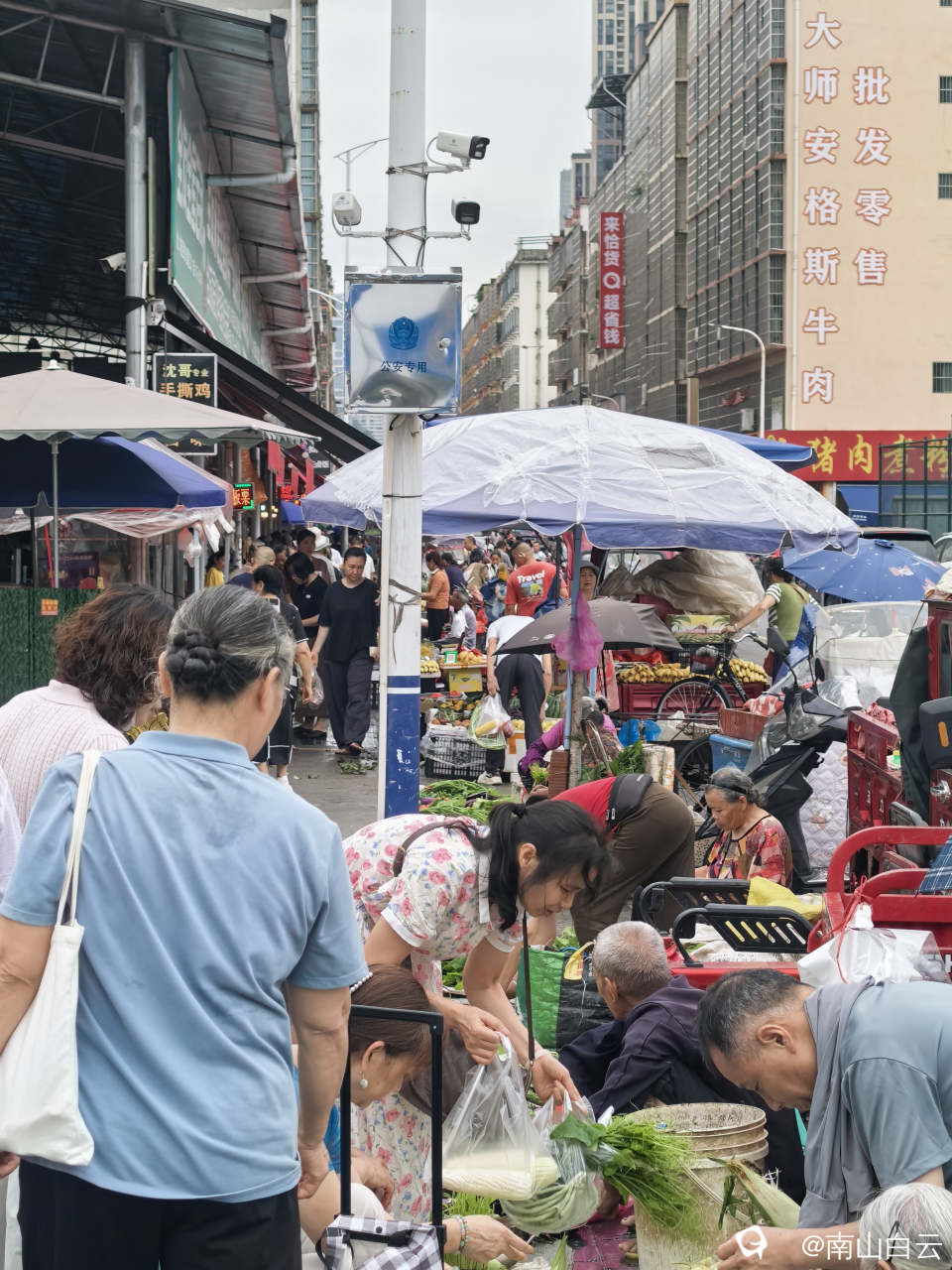 724597f9-ac04-0932-a609-a5f39965c14d.jpg