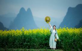 在金鸡河拍了一组油菜花