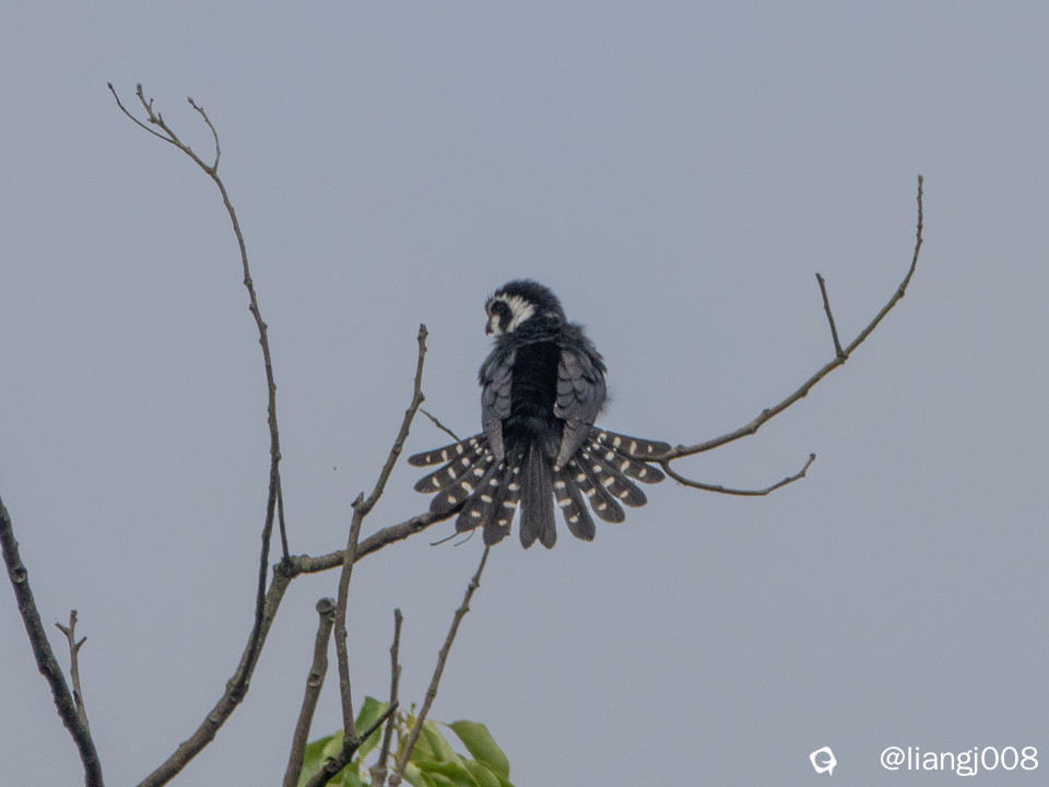 DSC00204_副本_副本.jpg