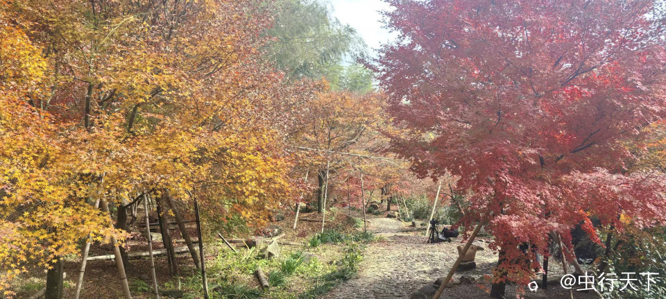 微信图片_20251201160042_194_88.jpg