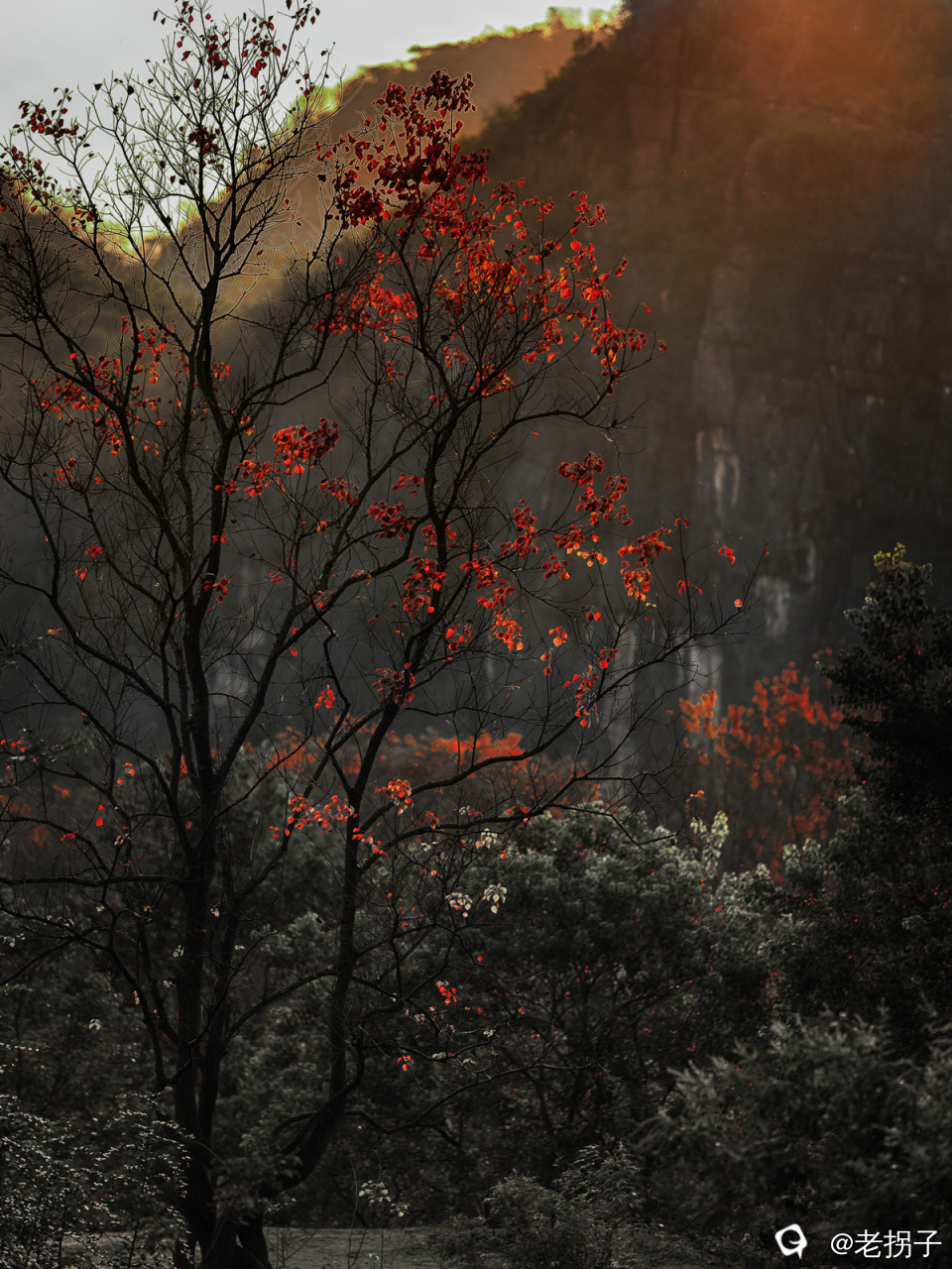 112705wwspl162lzjsyzll.jpg