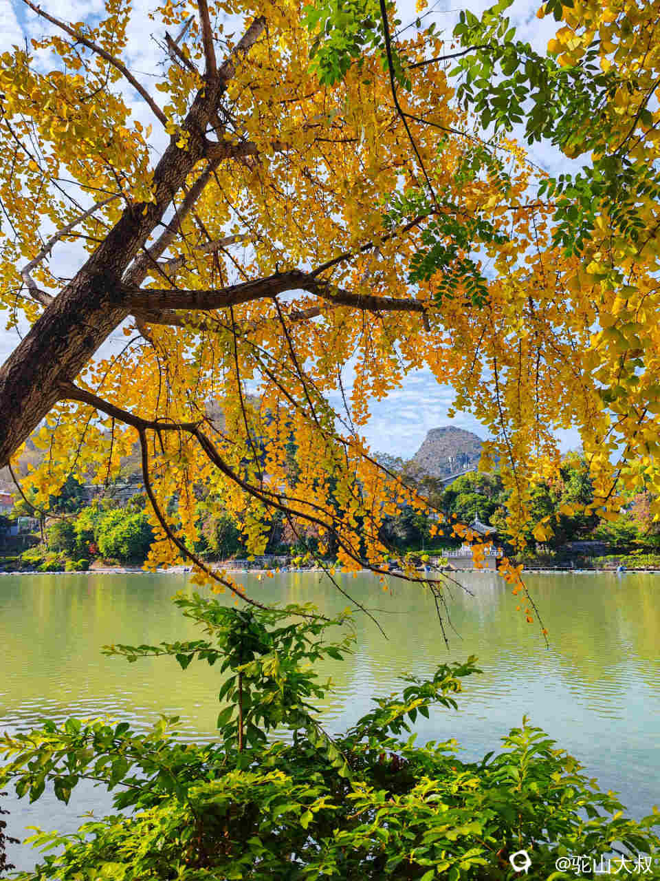 IMG_135153 - 副本.jpg