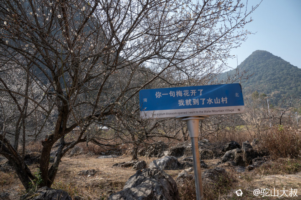 DSC04658-0 - 副本.jpg