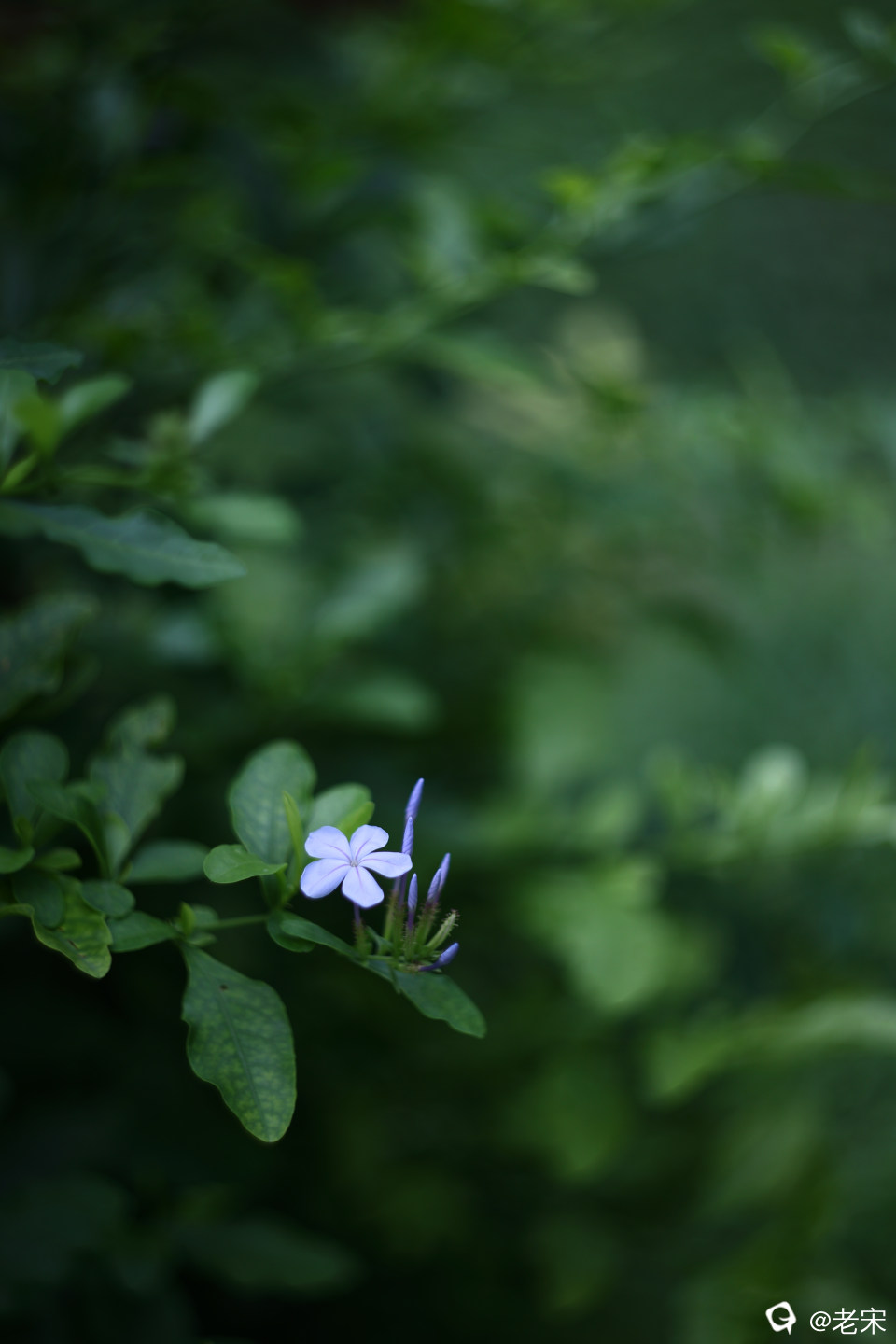 FB0A6531.JPG