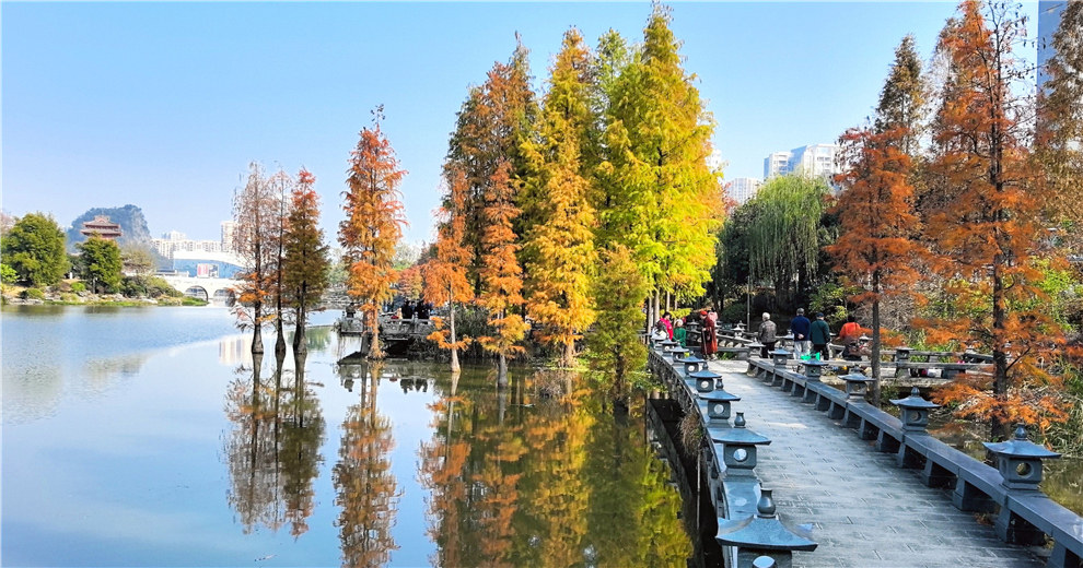 水畔杉如火，燃冬万籁空