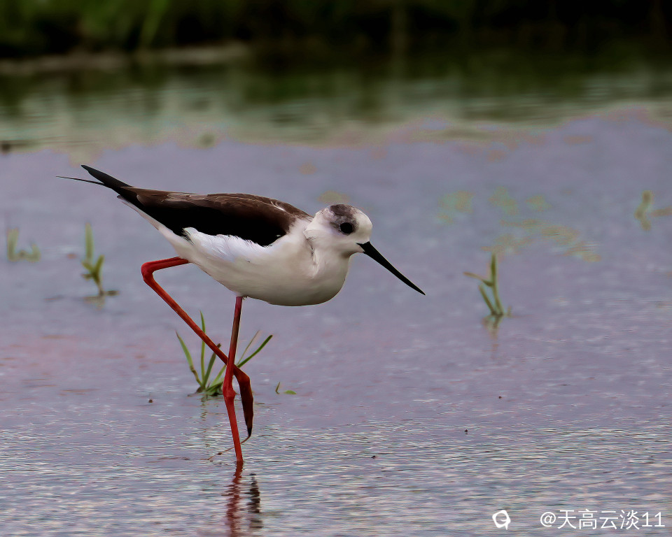 5D2A0370_副本-DeNoiseAI-clear.jpg
