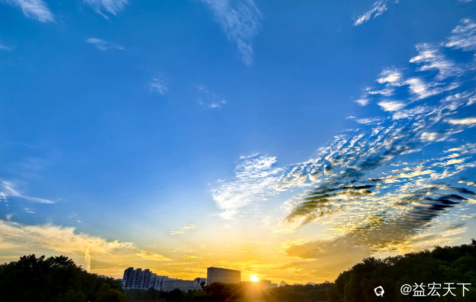 IMG_20260610_060705.jpg
