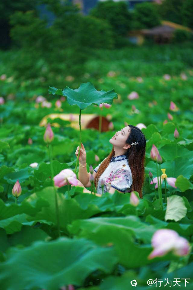 1bcc5b14-7a02-a6e4-986b-bda9f7ef9bde.jpg