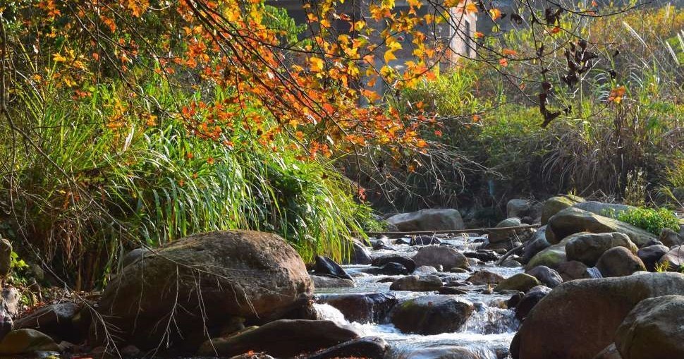 2025，大境紅楓谷