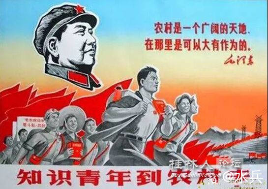 QQ图片20170207121712.jpg