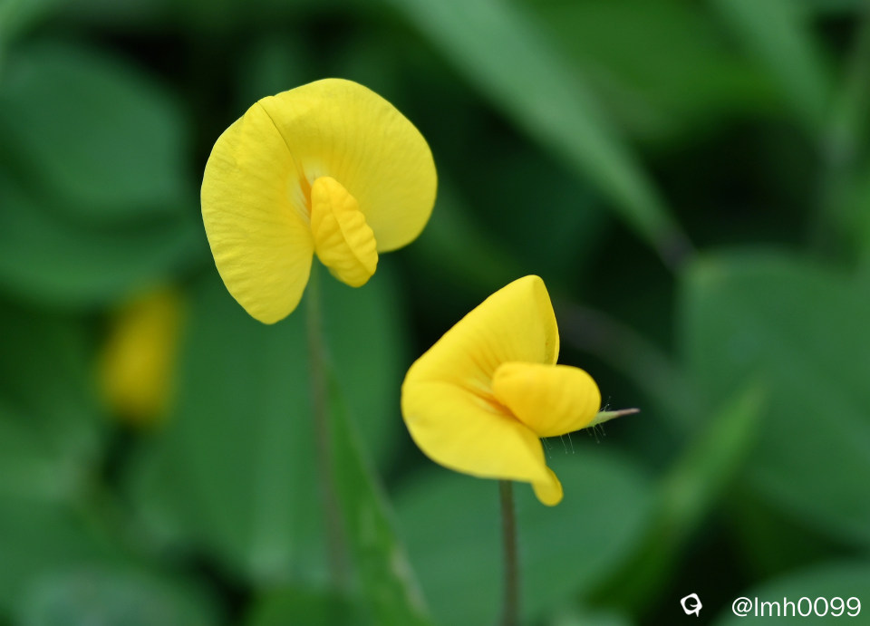 DSC_7811_副本.jpg