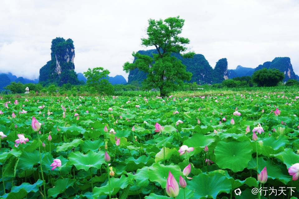 ab658f06-3635-1c60-aa07-396d0cbf8ac8.jpg