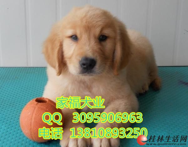 ������ë ���ֽ�ë ��ǩ�ʱ�Э�� �����Ҹ�Ȯҵֱ����Ʒ�ʽ�ë