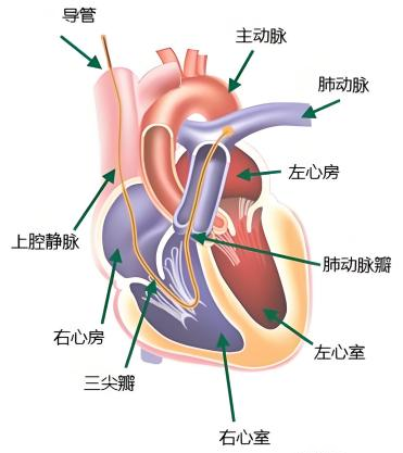 图片 1.png