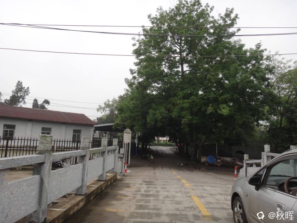 DSC08222.JPG