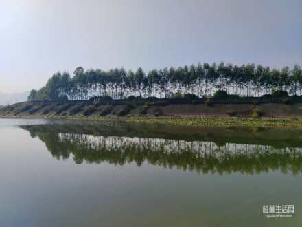 亲临都狼界，体验骑行风光