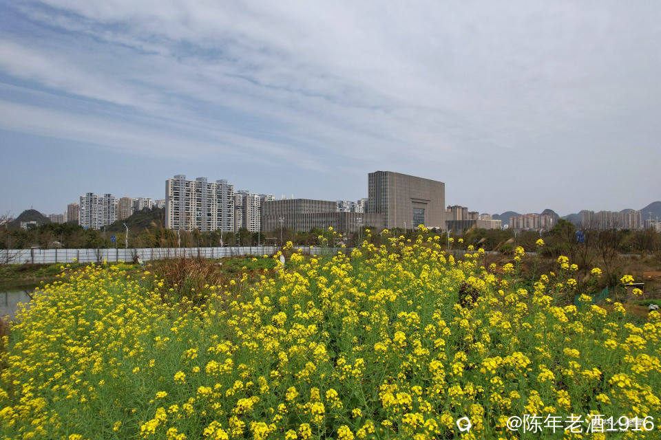 DJI_0879-01_副本.jpg