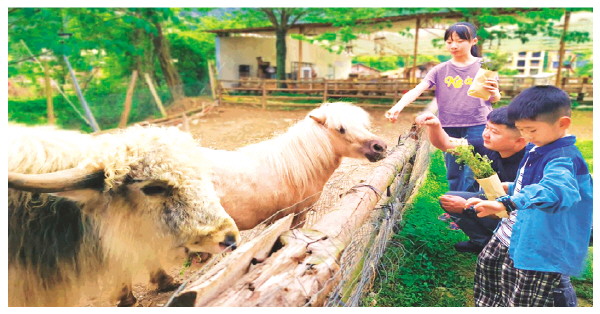 &ldquo;三月三&rdquo;假期 小众旅游&ldquo;火&rdquo;出圈