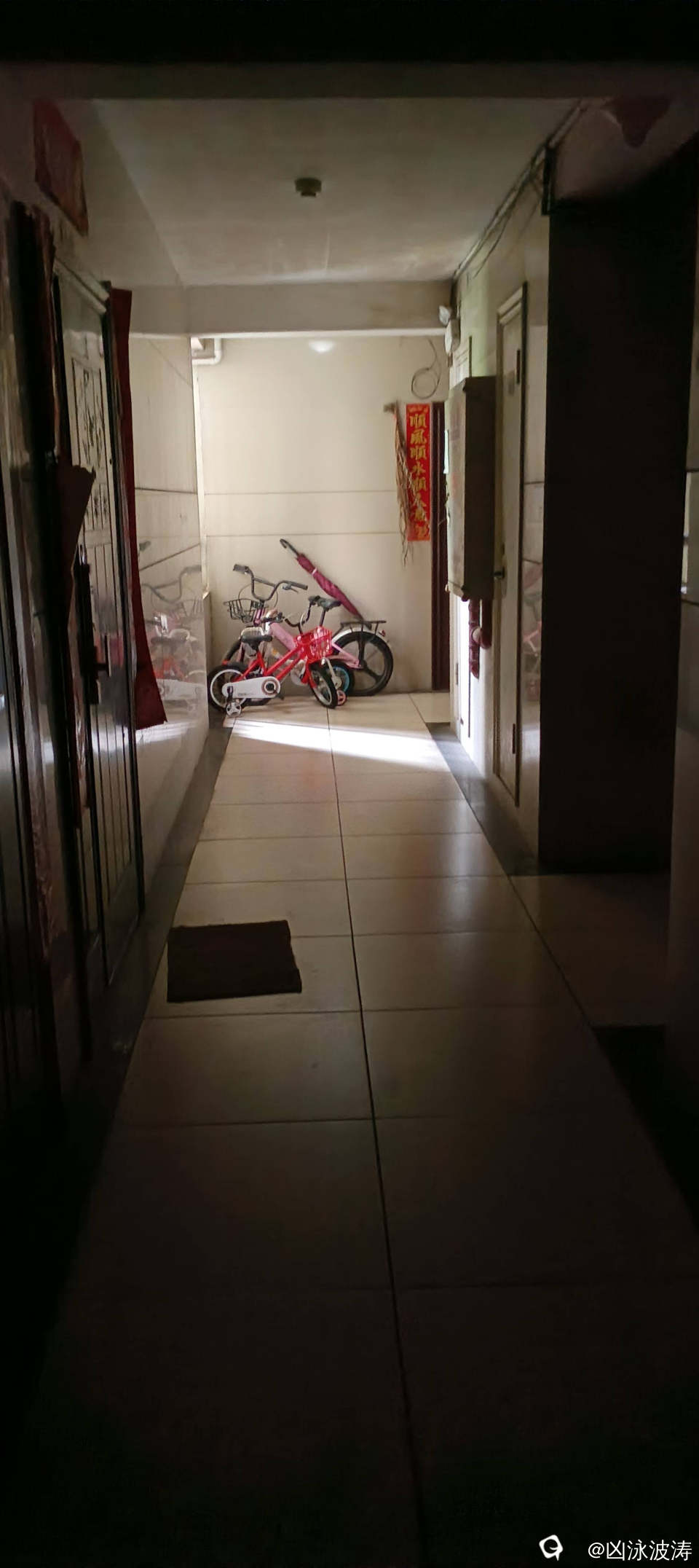 ccf9f30a-70e8-829b-101f-80ef527a22e0.jpg