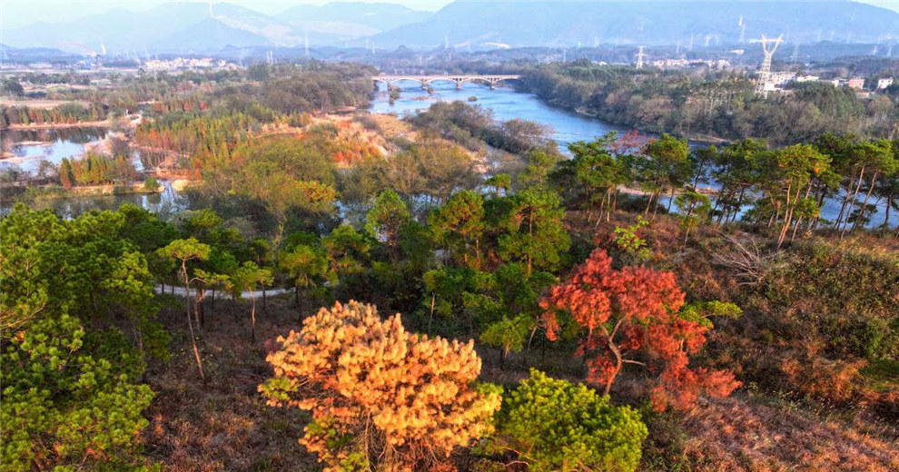 這個村莊能同時看草坪、聽松濤、賞漓江