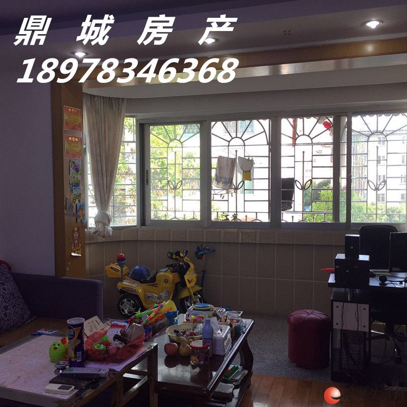 ����꡾���С����3��2��2�� 120�O ��װ�� ϡȱ���� �Լ۱ȸ�