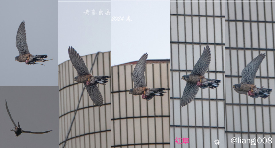 DSC09377_副本.jpg