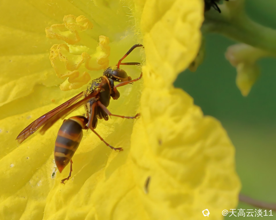 IMG_2537_副本-DeNoiseAI-denoise.jpg