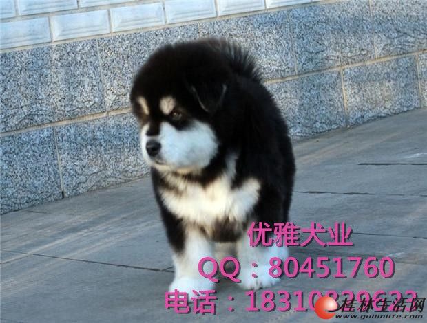 	 ���ְ���˹��Ȯ�ͼ��Ż� ��֤�� ����ǩЭ�齻��