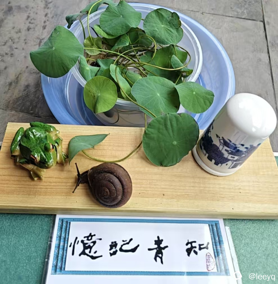微信图片_20260605123400_95_56.jpg