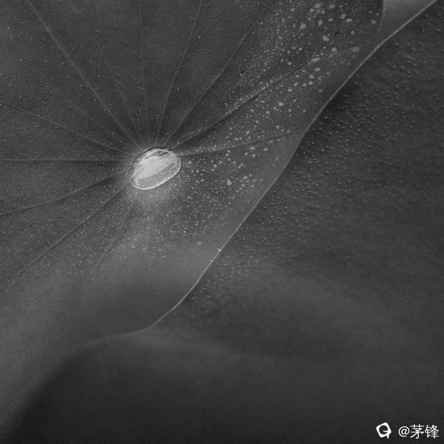 R0110849_1.jpg