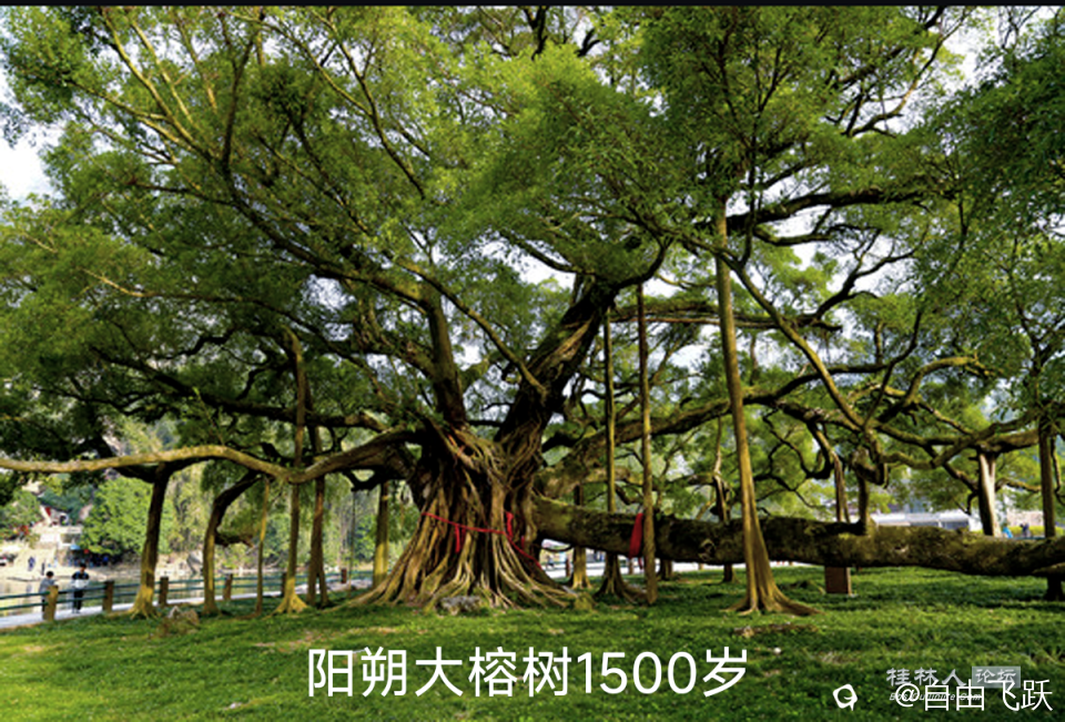 20251028152123front2_0_2066371_Fr5QbklvC8zeN0qICeV1I_3xAx4Q.png
