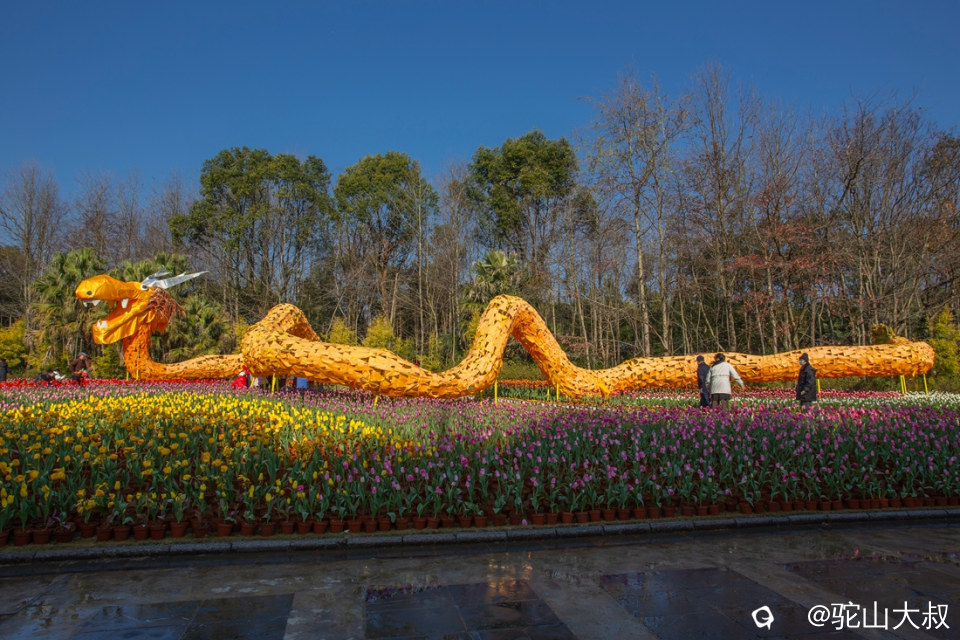 IMG_1607-0_副本.jpg