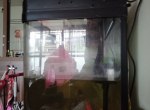 800*400����״���