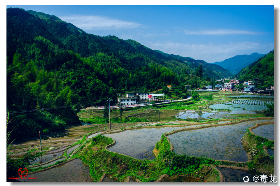 _DSC8530 拷贝_副本.jpg