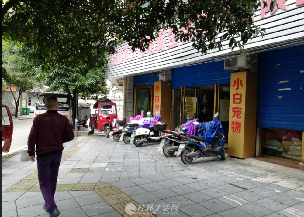  �Ÿ��뻷����·��������319ƽ163��