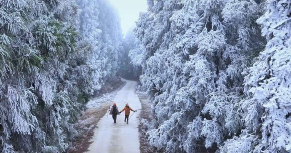 桂北之巅冰雪秘境！真宝顶云海雾凇上线