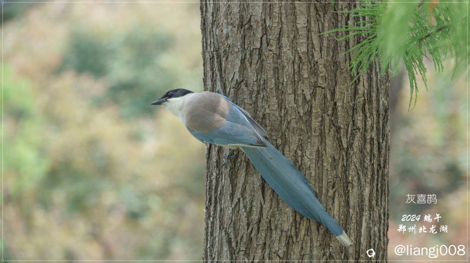 DSC06312_副本_副本.jpg