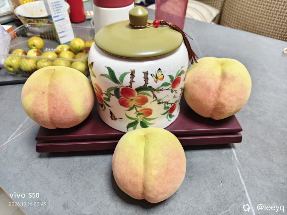 微信图片_20261017094514_510_117.jpg