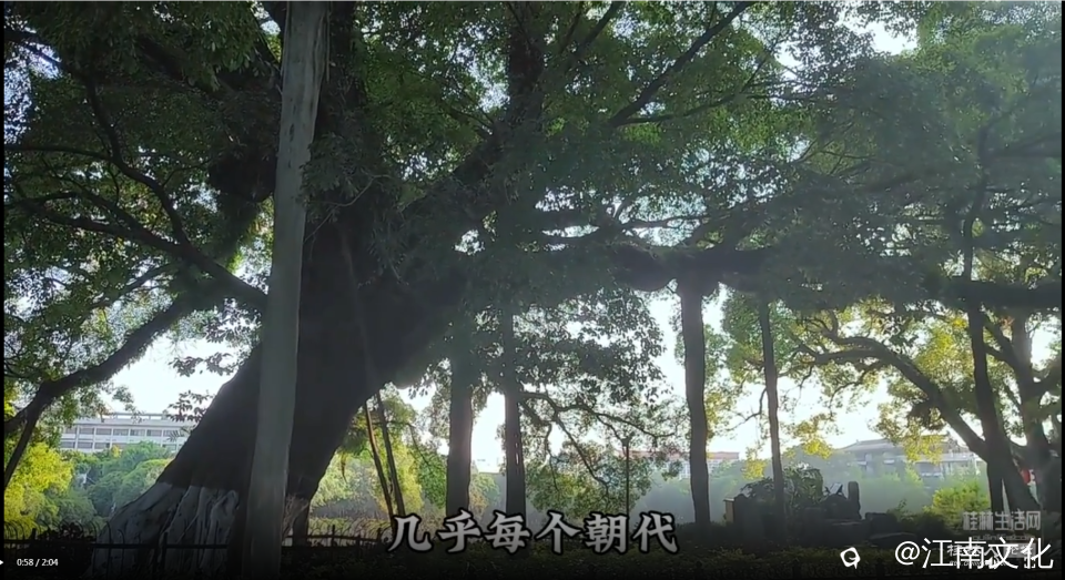 Snapshot_240528204017.png