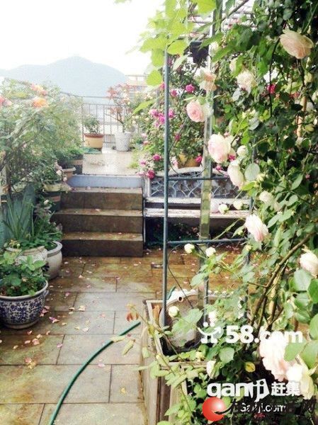T�����¶� ��ʽ¥��װ��������԰4�� 170�O108��