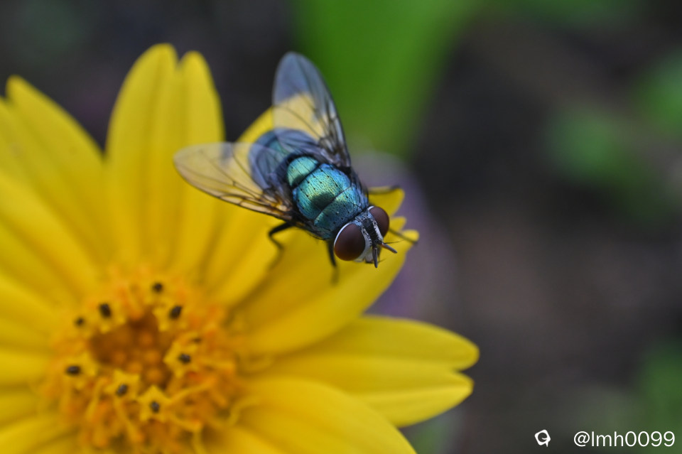 DSC_8273_副本.jpg