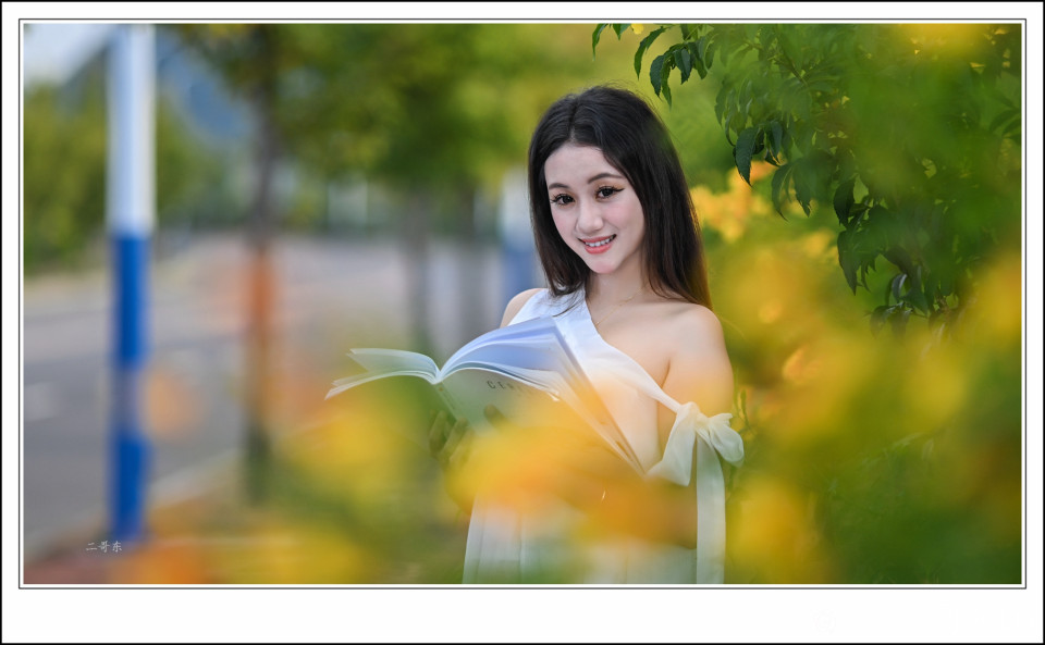 黄槐决明 (5).jpg