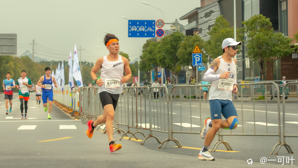 a22IMG_8194.jpg