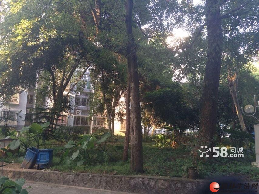 Y�����·һ�н�ְ���ޡ�3��2��130ƽ�׾�װ��